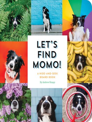 cover image of Let's Find Momo!